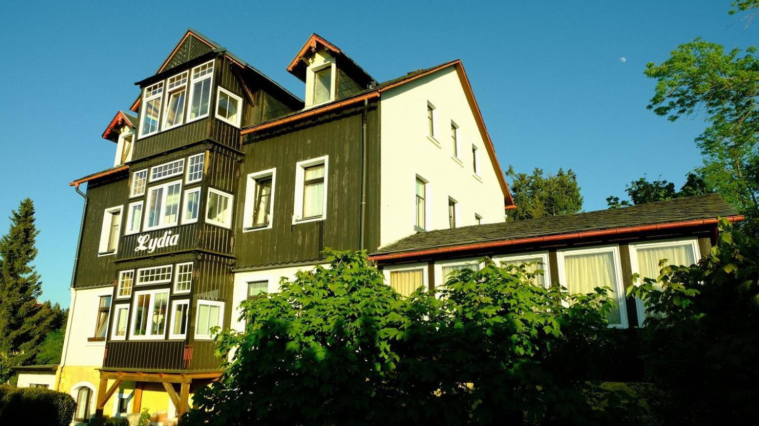 Villa Lydia Altenberg Exterior photo